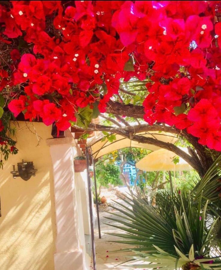 Villa Casita Limon Andratx Esterno foto