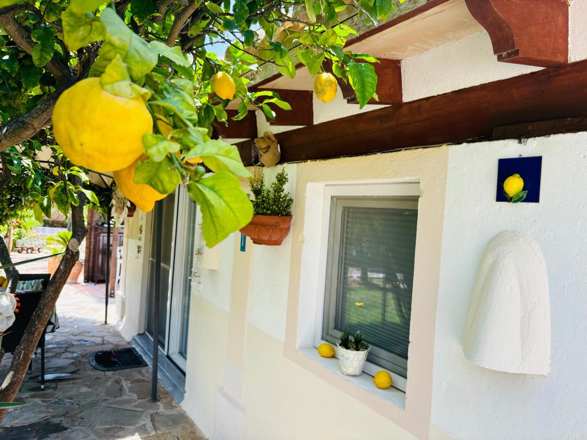 Villa Casita Limon Andratx Esterno foto