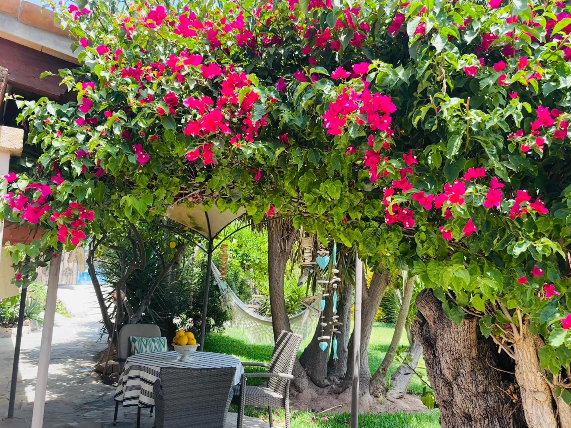 Villa Casita Limon Andratx Esterno foto