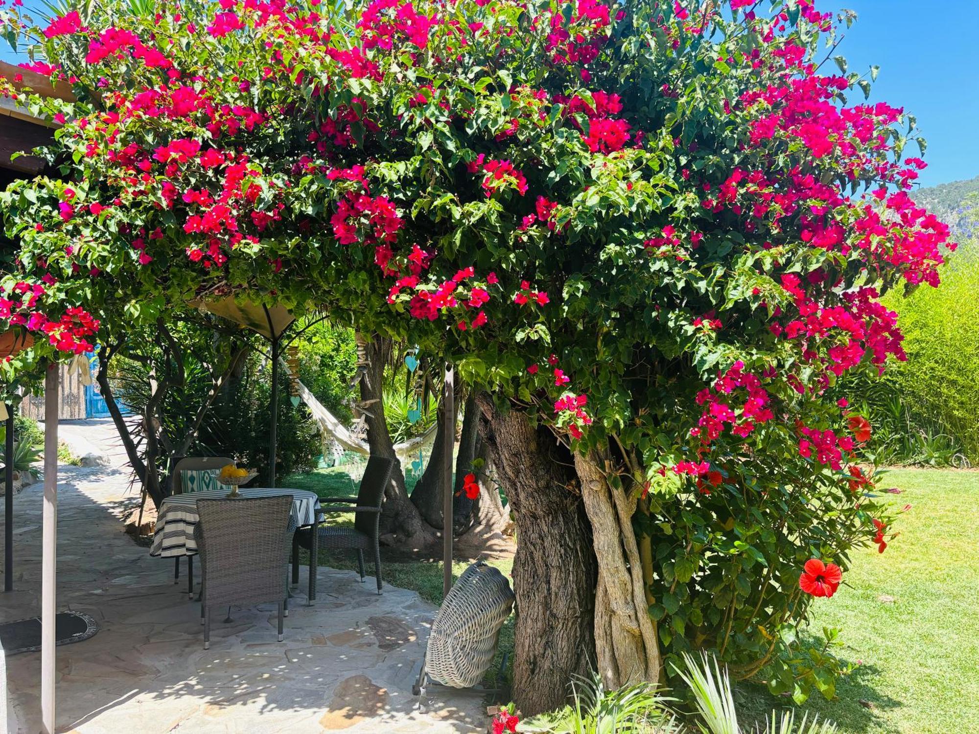 Villa Casita Limon Andratx Esterno foto
